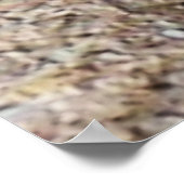 Sluiten en vuil. ! Fiddler Crab Poster (Hoek)