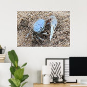 Sluiten en vuil. ! Fiddler Crab Poster (Thuiskantoor)