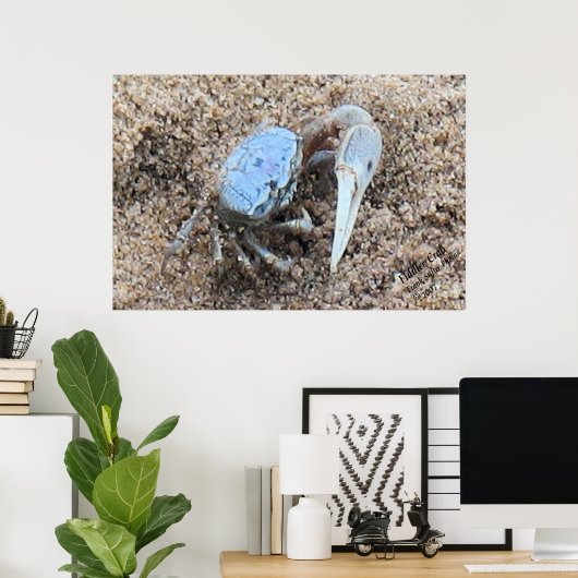 Sluiten en vuil. ! Fiddler Crab Poster (Thuiskantoor)