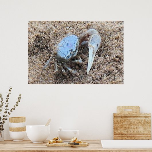 Sluiten en vuil. ! Fiddler Crab Poster (Keuken)