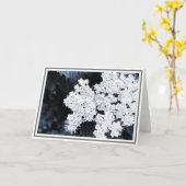 Sluiten Foto van White Viburnum Flowers Kaart (Gele Bloem)