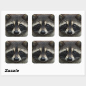 Sluiten Gebouwde voet Raccoon Stare Vierkante Sticker (Vel)