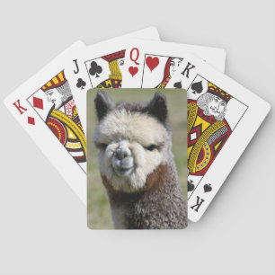 Sluiten grijze alpaca-afspeelkaarten pokerkaarten