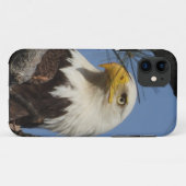 Sluiten Hoofd Shot of Bald Eagle Case-Mate iPhone Case (Achterkant (horizontaal))