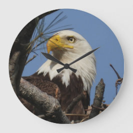 Sluiten Hoofd Shot of Bald Eagle Grote Klok