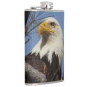 Sluiten Hoofd Shot of Bald Eagle Heupfles (Rechts)