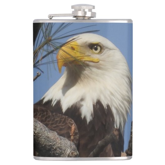 Sluiten Hoofd Shot of Bald Eagle Heupfles (Voorkant)