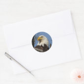 Sluiten Hoofd Shot of Bald Eagle Ronde Sticker (Envelop)
