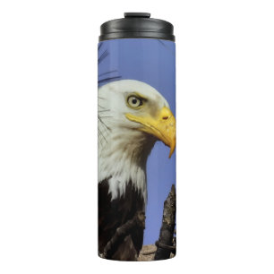 Sluiten Hoofd Shot of Bald Eagle Thermosbeker