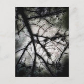 Sluiten in briefkaart (Voorkant)