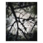 Sluiten in foto afdruk (Voorkant)