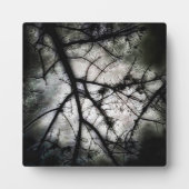 Sluiten in fotoplaat (Voorkant)