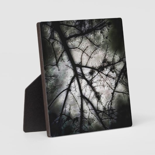 Sluiten in fotoplaat (Voorkant)