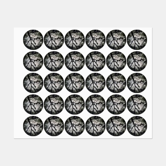 Sluiten in labels (Vel)