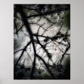 Sluiten in poster (Voorkant)