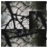 Sluiten in stof (Close Up)