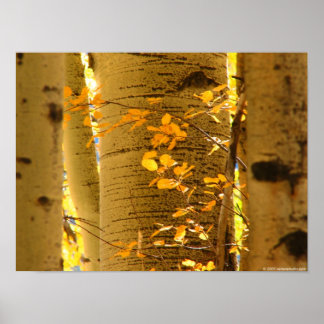 Sluiten maken poster