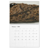 Sluiten, NBO Lid Agenda #2 Kalender (Feb 2026)