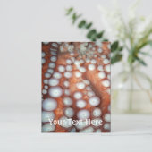 Sluiten Octopus sluiten Briefkaart (Staand voorkant)