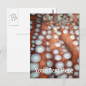 Sluiten Octopus sluiten Briefkaart (Voorkant / Achterkant)