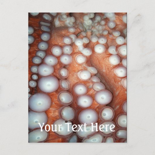 Sluiten Octopus sluiten Briefkaart (Voorkant)