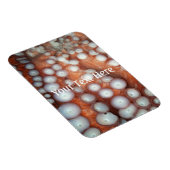 Sluiten Octopus sluiten Magneet (Rechterzijde)