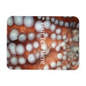Sluiten Octopus sluiten Magneet (Horizontaal)