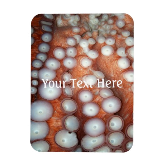 Sluiten Octopus sluiten Magneet (Verticaal)