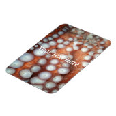 Sluiten Octopus sluiten Magneet (Linkerzijde)