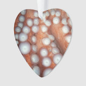 Sluiten Octopus sluiten Ornament (voorkant)