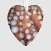 Sluiten Octopus sluiten Ornament (voorkant)