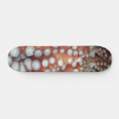Sluiten Octopus sluiten Persoonlijk Skateboard (Horizontaal)