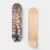 Sluiten Octopus sluiten Persoonlijk Skateboard (Voorkant)