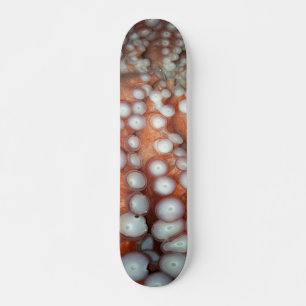 Sluiten Octopus sluiten Persoonlijk Skateboard