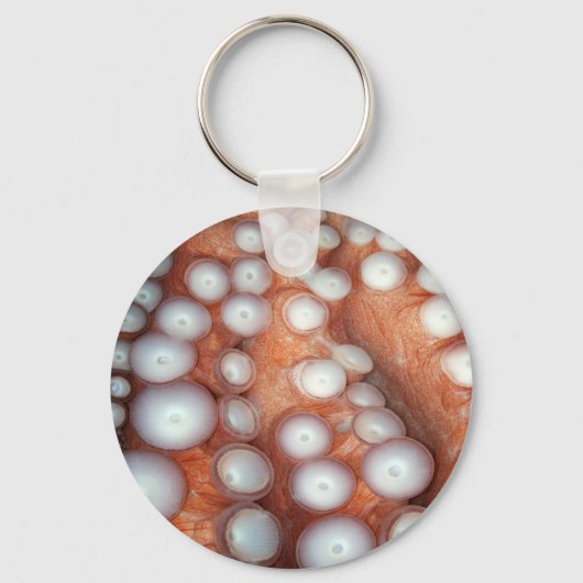 Sluiten Octopus sluiten Sleutelhanger (Voorkant)