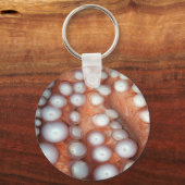Sluiten Octopus sluiten Sleutelhanger (Voorkant)