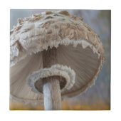 Sluiten onderkant paddenstoel tegeltje (Voorkant)