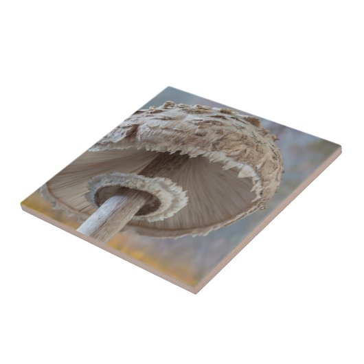 Sluiten onderkant paddenstoel tegeltje (Zijkant)