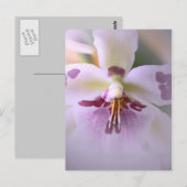 Sluiten orchidee-kaart briefkaart (Voorkant / Achterkant)