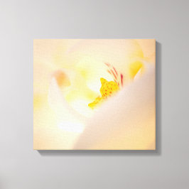 Sluiten orchidee macro stunnel canvas afdruk