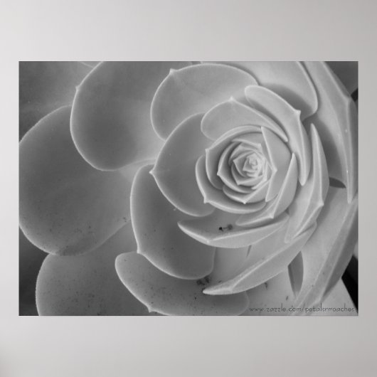 Sluiten Poster (Voorkant)