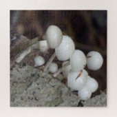 Sluiten Puzzle: Paddenstoelen van porseleinen Legpuzzel (Horizontaal)