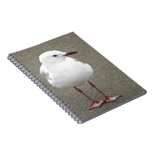 Sluiten Seagull Notitieboek (Rechterzijde)