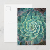 Sluiten Succulent Briefkaart (Voorkant / Achterkant)