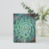 Sluiten Succulent Briefkaart (Staand voorkant)