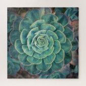 Sluiten Succulent Legpuzzel (Horizontaal)