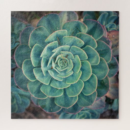 Sluiten Succulent Legpuzzel (Horizontaal)