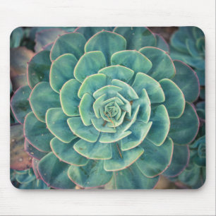 Sluiten Succulent Muismat
