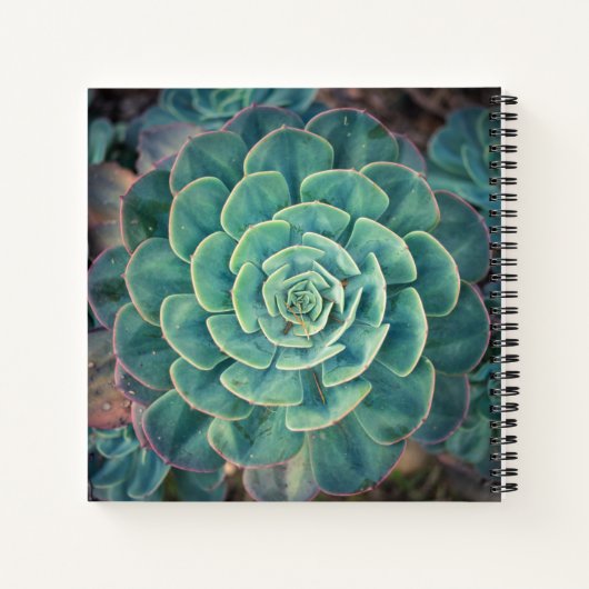 Sluiten Succulent Notitieboek (Achterkant)