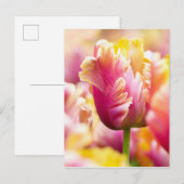 Sluiten Tulips Briefkaart (Voorkant / Achterkant)